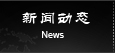 新聞動(dòng)態(tài)